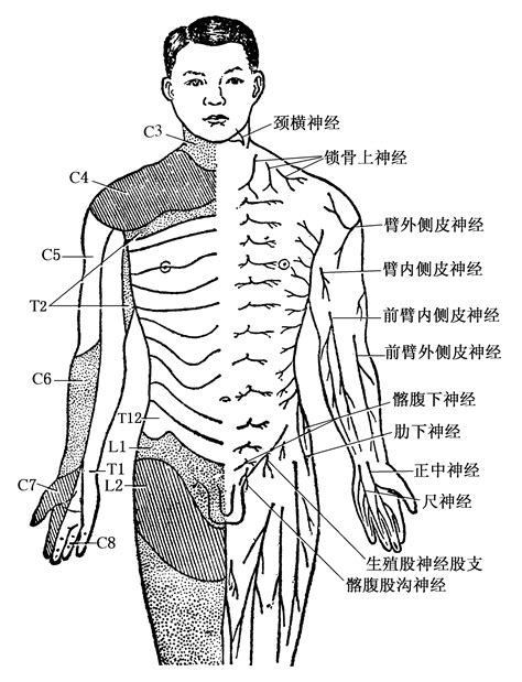 三胸二塞一氣傷|Statparamedic119: 術科情境